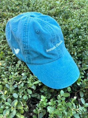 NWOT Instant Classic Cap - Twitter Bird - Teal Blue-Green
